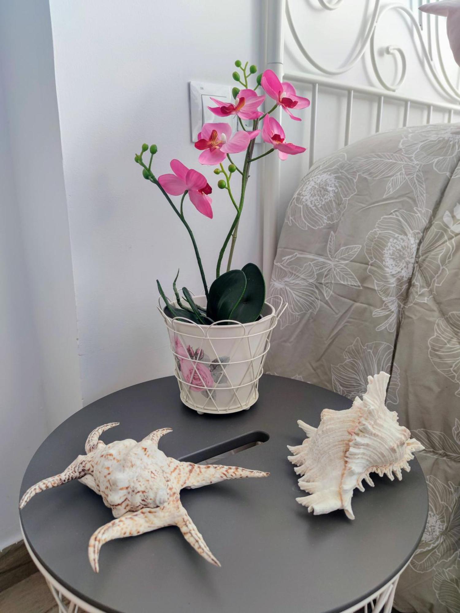 Beach Studio Torremolinos Apartamento *